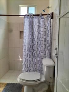 a bathroom with a toilet and a shower curtain at HOTEL LAS COLORADAS in Yuluc