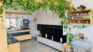 eine Küche mit Pflanzen, die von der Decke hängen in der Unterkunft Exklusives Wohnen im Herzen Bayerns - Luxuriöses Haus mit Dachterrasse und Whirlpool, nahe Passau in Windorf