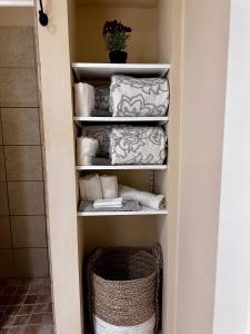a walk in closet with towels and a basket at Hotel Belvidere in Belvidere