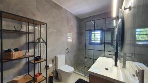 a bathroom with a shower and a toilet and a sink at Anasa Residence - The Farm house in Varípetron