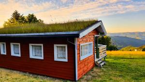 un pequeño edificio rojo con techo de hierba en Domek Eliaszówka, en Piwniczna-Zdrój