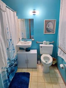 a blue bathroom with a toilet and a sink at Lake Point Motel in Marblehead