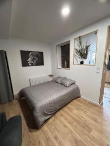 ein Schlafzimmer mit einem großen Bett in einem Zimmer in der Unterkunft Appartement tout confort in Harfleur