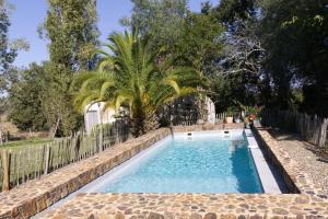 a swimming pool with a palm tree and a fence at Haou de campagne in Peyre