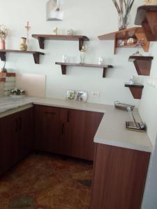 a kitchen with a counter and shelves on the wall at Hausen Margaret's in Kuçovë