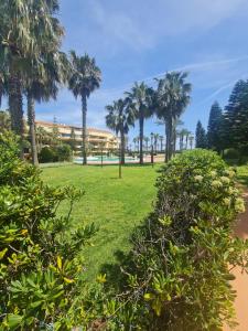 ロケタス・デ・マルにあるVilla Romana con piscina privada y vistas al jardínのヤシの木が茂る公園、ホテルを背景に