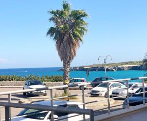 Naturlandskabet i nærheden af feriehuset