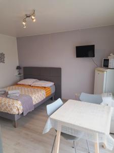 een slaapkamer met 2 bedden en een tafel en een televisie bij Studio Moderne - Plage du Grazel in Gruissan