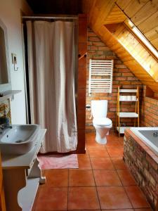 a bathroom with a toilet and a sink at Dom Gościnny Magiczna Stodółka in Osiecznica +30 photos