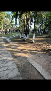 un parc avec des palmiers et un chemin de terre dans l'établissement Chácara Elshaday Shalom Arujá, à Arujá