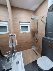 ein Bad mit einer Dusche, einem WC und einem Waschbecken in der Unterkunft Holiday home Bobija Skadar lake in Karuč