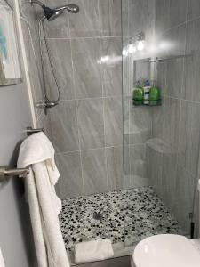 baño con ducha y puerta de cristal en Lovely Studio Apartment with Kitchenette. en Tampa