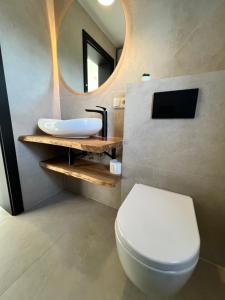 La salle de bains est pourvue d'un lavabo, de toilettes et d'un miroir. dans l'établissement Casa Kashubia, à Brzeźno Szlacheckie