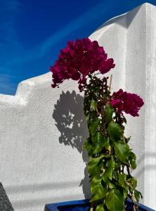 a vase with purple flowers on a white wall at Casa San Miguel in Estepona