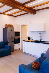 een keuken en een woonkamer met een blauwe bank bij Belvedere 237 Lakeview Apartment Leo Bakst in Ghiffa