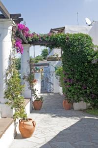 an alley with potted plants and flowers on a building at Casa il Terrazzino in Anacapri