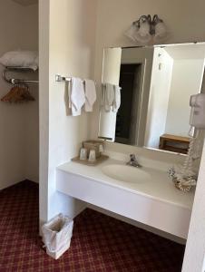 La salle de bains est pourvue d'un lavabo et d'un miroir. dans l'établissement Columbine Inn and Suites, à Leadville
