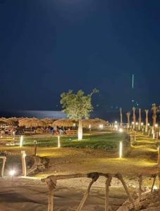 ein Park mit Bäumen und Sonnenschirmen in der Nacht in der Unterkunft Tavira شاليه in Ras Sudr