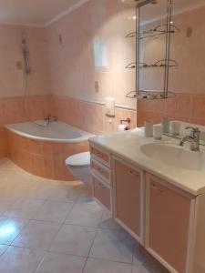 a bathroom with a tub and a toilet and a sink at A l'OREE DU BOIS in Ville-Houdlémont