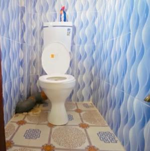 a bathroom with a white toilet in a blue wall at Zuri Furnished Apartment in Bomet