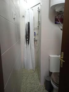ein Bad mit einem Duschvorhang und einem WC in der Unterkunft Dedina Luka in Valjevo