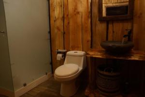 a bathroom with a toilet and a sink at El Refugio de Hadas y Elfos in Puerto Fuy