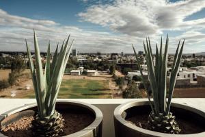 Galería fotográfica de Lujoso apartamento en el Norte en Aguascalientes 93 fotos más