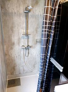 W łazience znajduje się prysznic z zasłoną prysznicową. w obiekcie Mikrohus Leknes i Lofoten w mieście Leknes