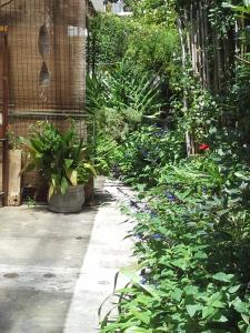 un jardín con muchas plantas y flores en Casa del Angel Duplex Centrico con Patio en La Plata