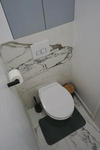 ein Bad mit einem WC in einer Marmorwand in der Unterkunft GRAND Appartement F3 Proche de Gare RER B in Le Bourget