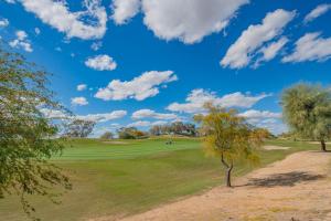 uma vista para um campo de golfe com uma árvore no primeiro plano em Exclusive Unit-Walkable Area-Bright & Sunny 2 BR - N272 em Scottsdale