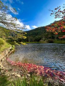 un estanque con flores rojas y rosas en el agua en Hotel Fazenda Upã Moña en Vassouras