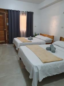 a group of four beds in a room at Maui Homestay in General Luna