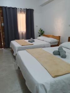 a group of four beds in a room at Maui Homestay in General Luna