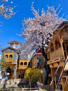 a flowering tree in front of a building at Lavender Cottage and Guest House in Skardu