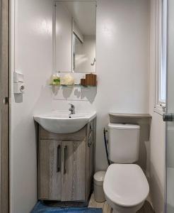 a bathroom with a sink and a toilet and a mirror at The Beach Mobile Home in Saint-Brevin-les-Pins