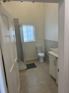 a white bathroom with a toilet and a window at Large Modern Space in Cedar Grove