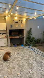 een hond die op de vloer van een garage ligt bij Hermosa y amplia casa nueva in Puerto Madryn