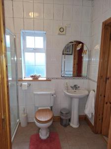 La salle de bains est pourvue de toilettes, d'un lavabo et d'un miroir. dans l'établissement Welcome to Tunmobi Villa, its home away from home., à Ballyjamesduff