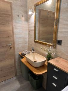 un bagno con lavandino e specchio di Apartment with a terrace Forest Home Lullula a Veprinac Altre 60 foto