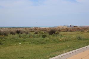 un campo de hierba con un puente en el fondo en Apartamento Verano, en Conil de la Frontera