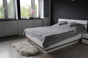 1 dormitorio con 1 cama, 2 ventanas y alfombra en Black & White, en Racibórz