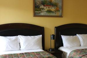 ein Schlafzimmer mit 2 Betten und einem Wandgemälde in der Unterkunft Imperial Inn 1000 Islands in Gananoque