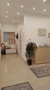 una grande stanza con una pianta in vaso al centro di Holiday Apartment Essen a Essen