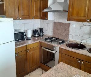 Kuchyňa alebo kuchynka v ubytovaní Apartments with a parking space Selce, Crikvenica - 2361