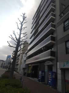 a tall building with a tree in front of it at リリープロスパー泉 in Aoichō