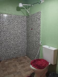 a bathroom with a toilet in a green wall at Colina dos Ventos in Mulungu