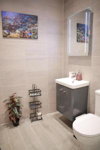 a bathroom with a toilet and a sink at Luxurious Flat at Leicester Town in Leicester