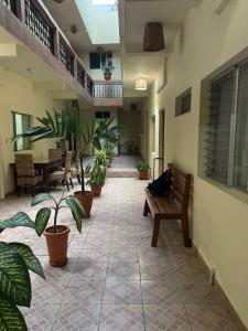 eine Terrasse mit Pflanzen und einer Bank in einem Gebäude in der Unterkunft Nakum Hotel in Flores