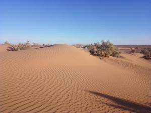 una duna de arena en medio de un desierto en M'Hamid Budget Lodge en Mhamid